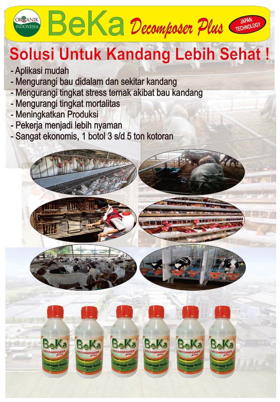 Beka Decomposer Plus