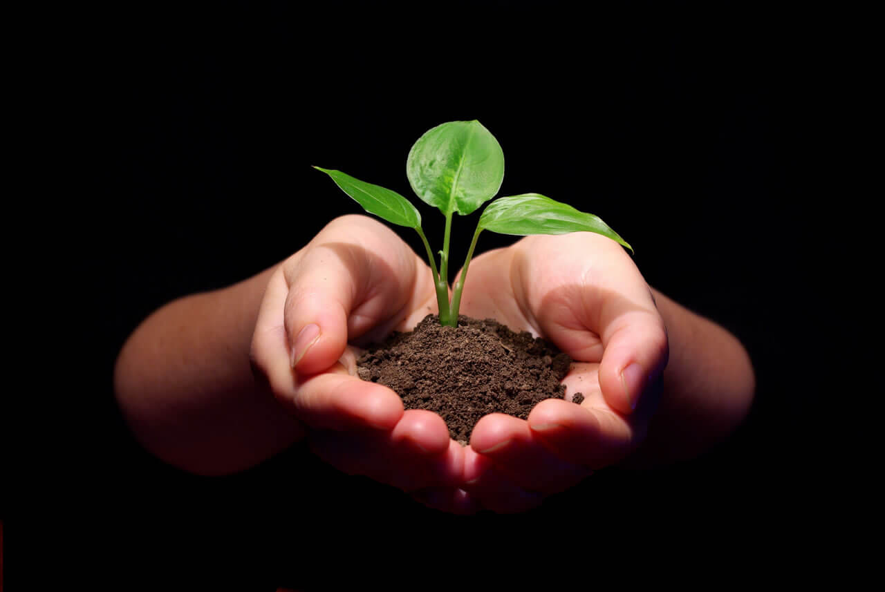 https://batsindo.com/products/decomposer-fertilizer-booster/
