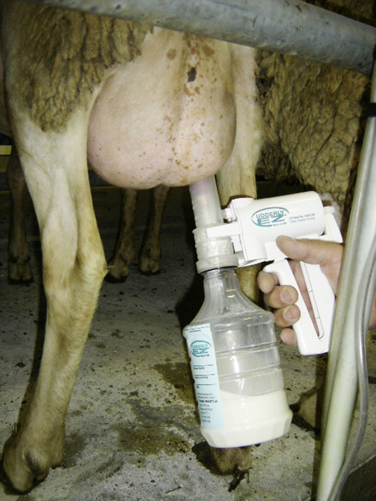 Sheep Milking Pump