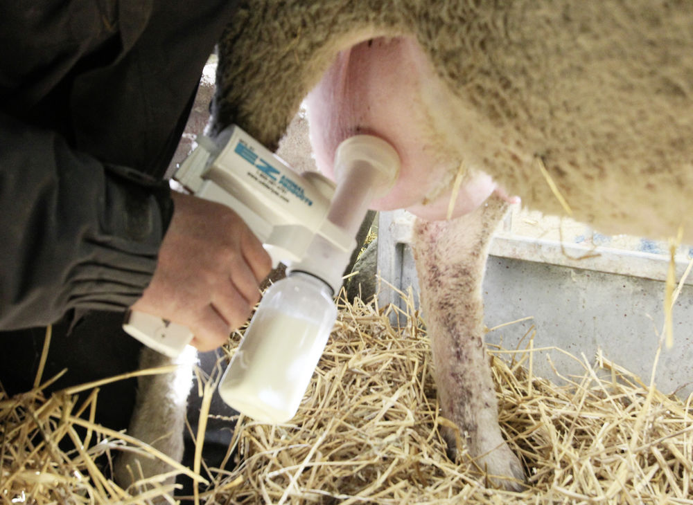 Sheep Milking Pump