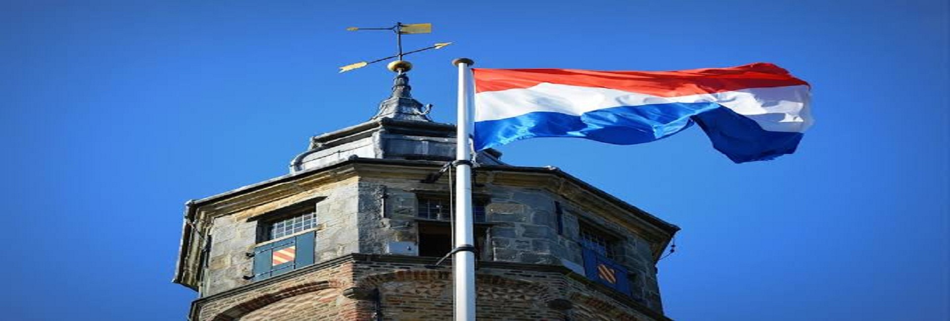 Factory and Farm Visit Netherland