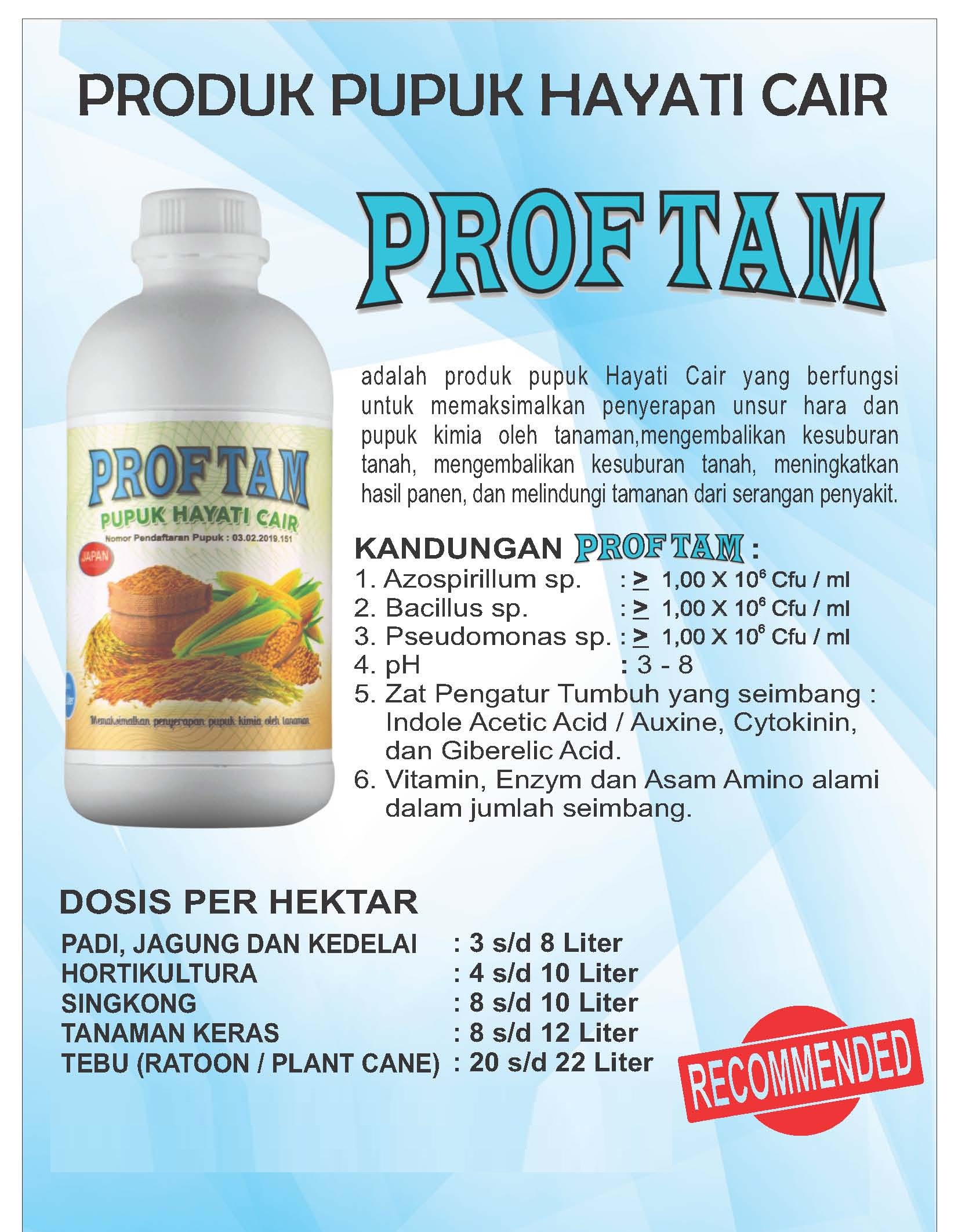 Proftam